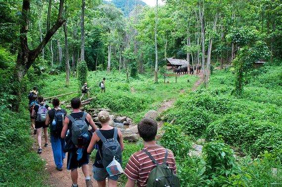 Environment Day march to defy ban