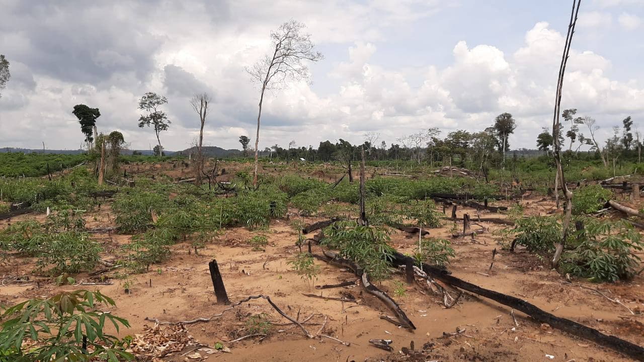 ដំណើរឆ្ពោះទៅរកការវិនាសទាំងស្រុងនៃព្រៃហគមន៍ភ្នំសេះ